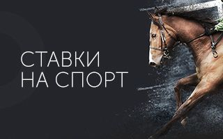 Нужно ли легализовать беттинг во всех штатах США и как можно контролировать бизнес?