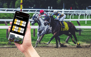 Traffic Attraction to the Bookmaker’s Office: Top 6 Important Nuances