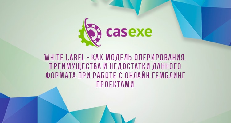 CASEXE рассказала о формате работы White Label в онлайн-гемблинге