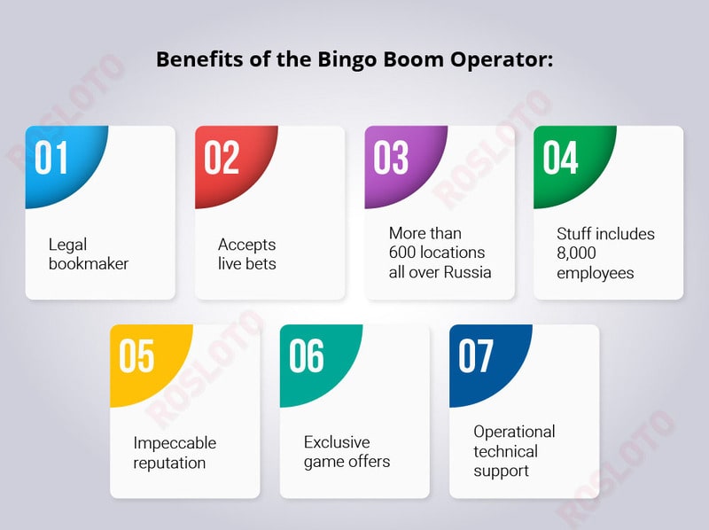 Bingo Boom franchise: benefits
