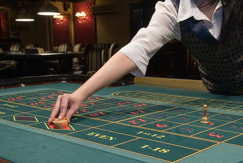 WM555 casino games: portfolio