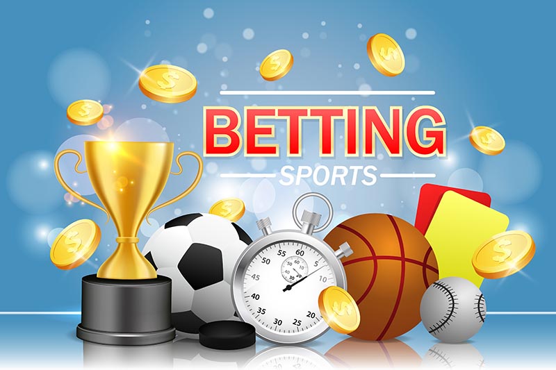 Betting software by Betinvest: portfolio